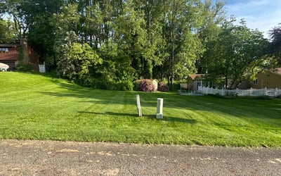 Photo of Michael L.'s yard after getting lawn care in Fredericksburg, VA