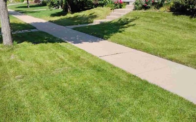 Photo of Cheryl H.'s yard after getting lawn care in Monroe, WI
