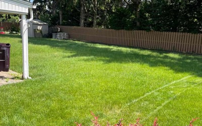 Photo of Jasmine S.'s yard after getting lawn care in Centerville, OH
