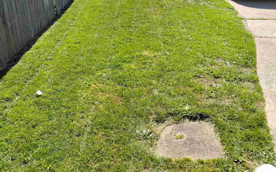 Photo of Jason B.'s yard after getting lawn care in Rolling Meadows, IL