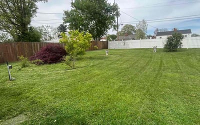 Photo of Jordan G.'s yard after getting lawn care in Kingsport, TN