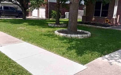 Photo of Alejandro R.'s yard after getting lawn care in Del Valle, TX