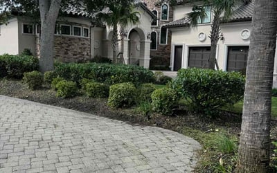 Photo of Danny M.'s yard after getting lawn care in Selma, CA