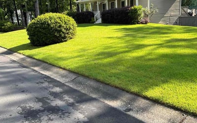 Photo of Danielle D.'s yard after getting lawn care in Dallas, GA