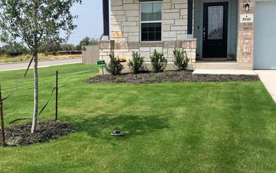 Photo of Carrie Y.'s yard after getting lawn care in Elmendorf, TX