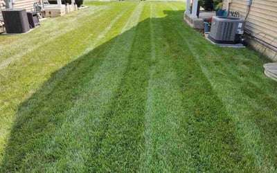 Photo of Shanena W.'s yard after getting lawn care in Woodstock, IL