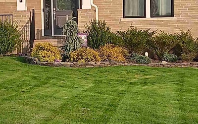 Photo of Crystal P.'s yard after getting lawn care in Haymarket, VA