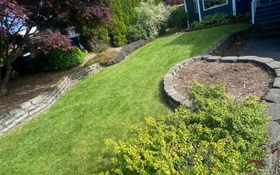 Photo of Alexis Q.'s yard after getting lawn care in Lynnwood, WA