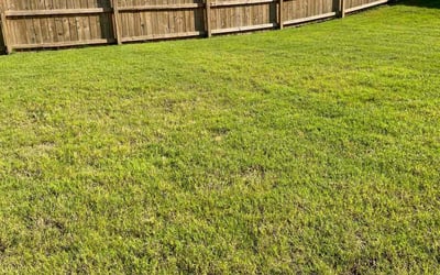 Photo of Matthew W.'s yard after getting lawn care in Hernando, MS