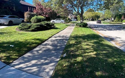 Photo of Africa T.'s yard after getting lawn care in Redford, MI