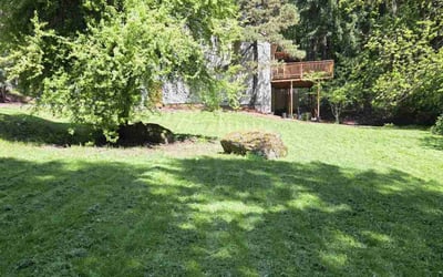 Photo of Josephine L.'s yard after getting lawn care in Lake Oswego, OR