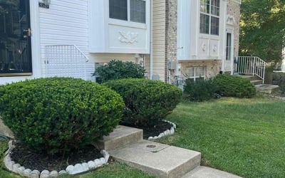 Photo of Lisa N.'s yard after getting lawn care in Randallstown, MD