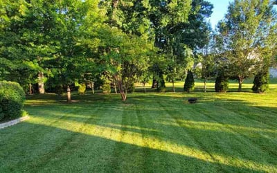 Photo of Sheila F.'s yard after getting lawn care in Warrenton, VA