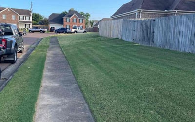 Photo of Nicole B.'s yard after getting lawn care in Oceanside, NY