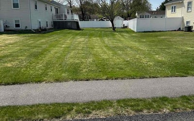 Photo of Lena K.'s yard after getting lawn care in Mansfield, MA