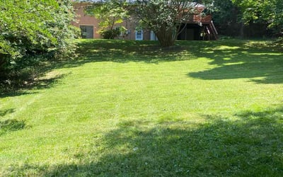 Photo of Tim H.'s yard after getting lawn care in Reston, VA