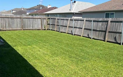 Photo of Debra W.'s yard after getting lawn care in Gulf Shores, AL