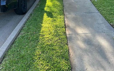 Photo of Paul S.'s yard after getting lawn care in Hopewell Junction, NY