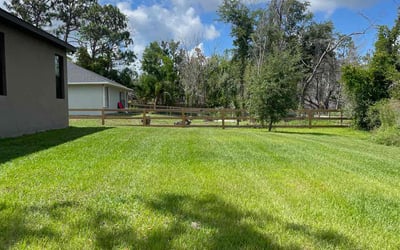 Photo of Paul P.'s yard after getting lawn care in Chattanooga, TN