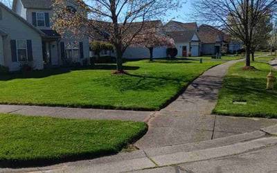 Photo of Roddy H.'s yard after getting lawn care in Canandaigua, NY
