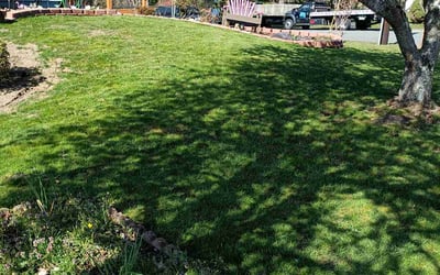 Photo of Erica M.'s yard after getting lawn care in Renton, WA