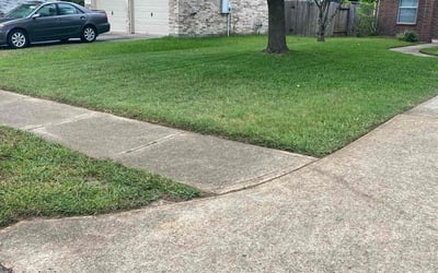 Photo of Tracy L.'s yard after getting lawn care in Forest Park, GA