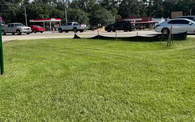 Photo of Brian/Breeda B.'s yard after getting lawn care in Covington, LA