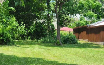Photo of Lionell B.'s yard after getting lawn care in Burlington, NJ