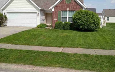Photo of Michael M.'s yard after getting lawn care in Danville, IN