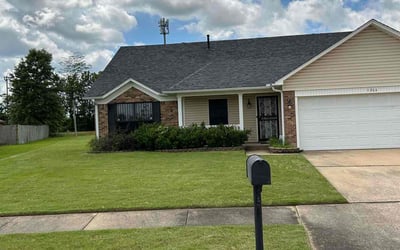 Photo of Michael B.'s yard after getting lawn care in West Memphis, AR