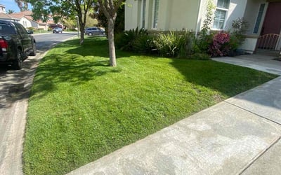 Photo of Michael B.'s yard after getting lawn care in Sacramento, CA