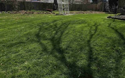 Photo of Jackie H.'s yard after getting lawn care in Laurelville, OH