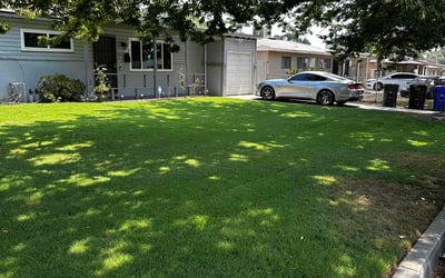 Photo of Matthew and Maria M.'s yard after getting lawn care in San Bernardino, CA
