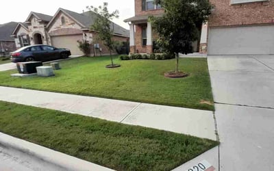 Photo of Allen S.'s yard after getting lawn care in Harrisburg, PA