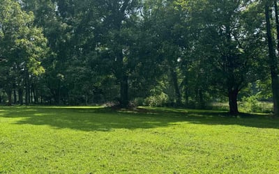 Photo of Megan S.'s yard after getting lawn care in Youngsville, NC