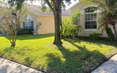 Photo of Rita H.'s yard after getting lawn care in Sanford, FL