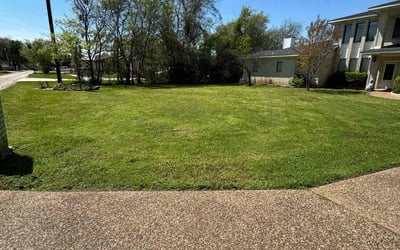 Photo of Larry U.'s yard after getting lawn care in Solana Beach, CA