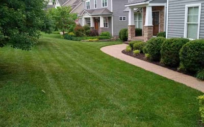 Photo of Aracelio N.'s yard after getting lawn care in Providence Forge, VA