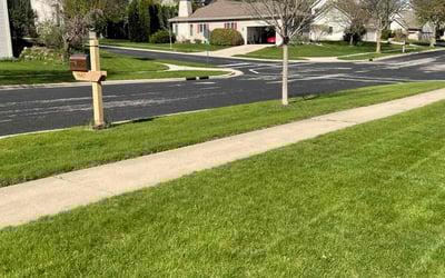 Photo of Dan O.'s yard after getting lawn care in Stoughton, WI