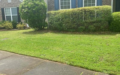 Photo of Skylar R.'s yard after getting lawn care in Forest Park, GA