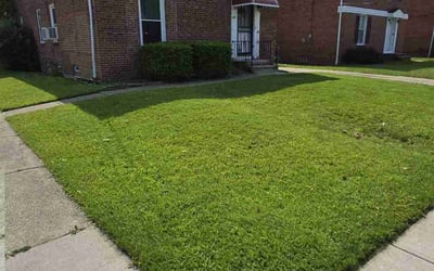 Photo of Lisa H.'s yard after getting lawn care in Ringgold, GA