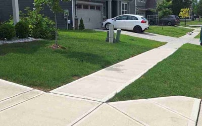 Photo of Jocelyn T.'s yard after getting lawn care in Brandon, FL