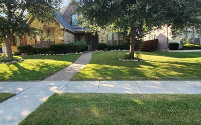 Photo of Amy G.'s yard after getting lawn care in Northport, NY