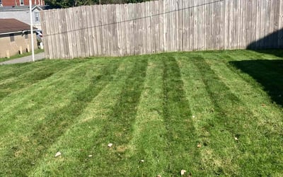 Photo of Kerryann L.'s yard after getting lawn care in Imperial, PA