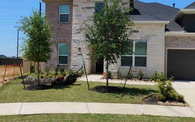 Photo of Michael R.'s yard after getting lawn care in Liberty, TX