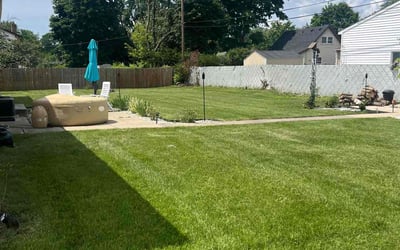 Photo of Todd E.'s yard after getting lawn care in Lansing, MI