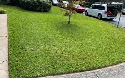Photo of Paula P.'s yard after getting lawn care in Waco, TX