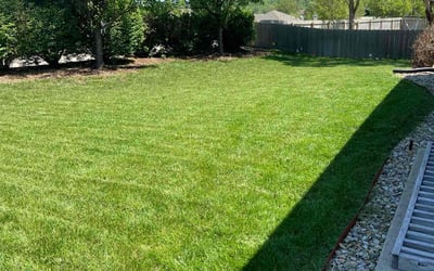 Photo of Brad H.'s yard after getting tree care in Lees Summit, MO