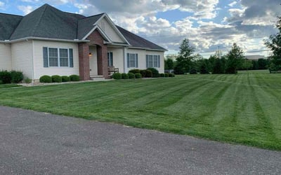 Photo of Terri R.'s yard after getting lawn care in Westerville, OH