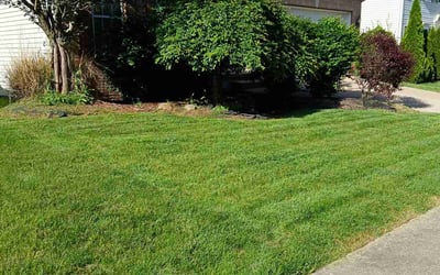 Photo of Susan K.'s yard after getting lawn care in Mogadore, OH